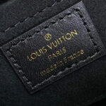 Louis Vuitton Camera Box M82465 Brown